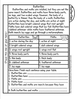 Butterfly Life Cycle Tab Booklet by Classroom 