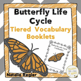 Vocabulary Activities - Butterfly Life Cycle