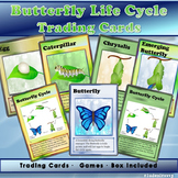 Butterfly Life Cycle - Trading Cards!