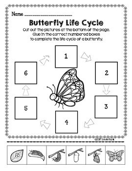 Butterfly Life Cycle Unit - Posters, Worksheets, 5-Page Tab Book by ...