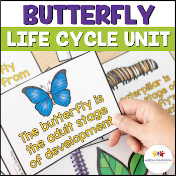 Preview of Butterfly Life Cycle Activities & Tools: Adapted Science Units Special Education