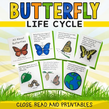 Butterfly Life Cycle by Education to the Core | Teachers Pay Teachers