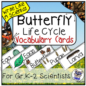 Preview of Butterfly Life Cycle Vocabulary Cards