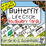Butterfly Life Cycle Vocabulary Cards