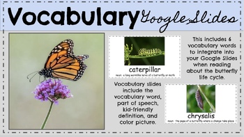 Preview of Butterfly Life Cycle Vocabulary Google Slides