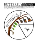 Butterfly Life Cycle Wheel and Full Page Posters