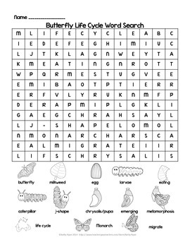 Preview of Butterfly Life Cycle Word Search Freebie