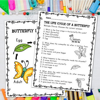 Butterfly Life Cycle - Worksheet by Dino Studio | TPT