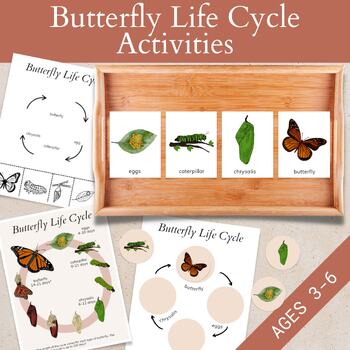 Preview of Butterfly Life Cycle Worksheet, Cut and Paste 4 Step Sequencing Card Preschool