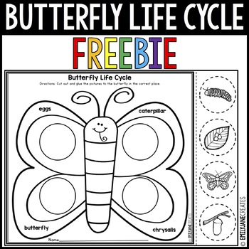Preview of Butterfly Life Cycle Worksheet FREEBIE
