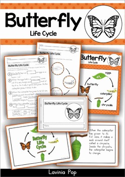 Preview of Butterfly Life Cycle