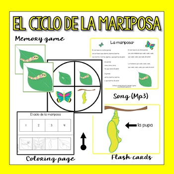 Preview of Spanish Butterfly Life Cycle (Flashcards, song & more)