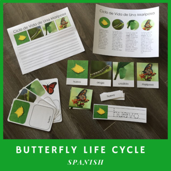 Preview of Butterfly Life Cycle in Spanish (Montessori)