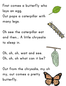 Butterfly Life Cycle song by Emerging Education 2 | TPT