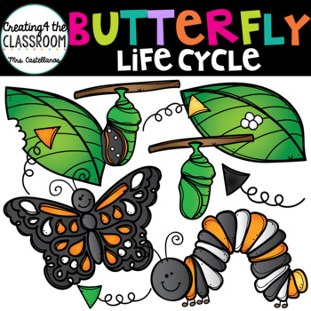 Preview of Butterfly Life Cycle Clip Art