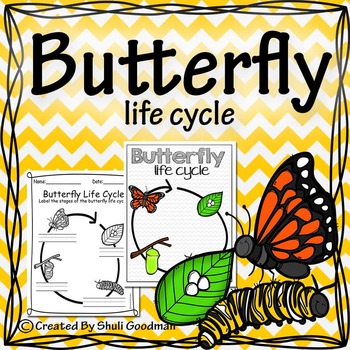 Butterfly Life cycle Interactive Learning MINI UNIT | TpT