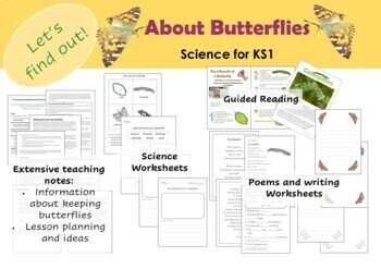 Preview of Ks1 Science Butterfly Life-cycle Lesson notes and worksheets KS1