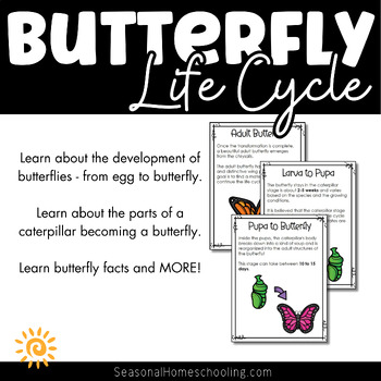 Butterfly Life cycle - Life Cycle of A Butterfly Worksheets | TPT