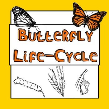 Preview of Butterfly Lifecycle - Growth, Changes and Metamorphosis