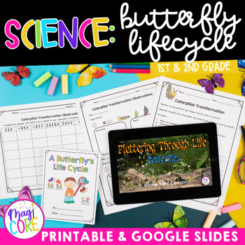 Preview of Butterfly Lifecycle 1st & 2nd Grade Science Unit Activities Worksheets Book