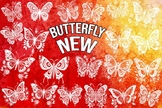 Butterfly New Font