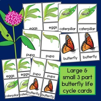 Butterfly Observation Journal and 3 Part Life Cycle Cards | TpT