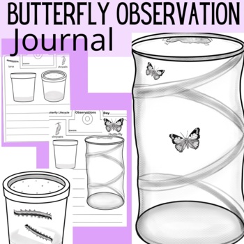 Preview of Butterfly Observation Journal | Painted Lady | Butterfly Lifecycle | Spring