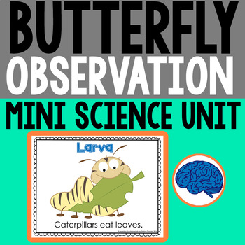 Preview of Butterfly Observation : Metamorphosis Investigation