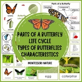 Butterfly Pack Montessori Hands - on Activities