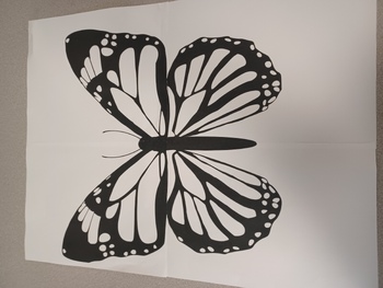 Preview of Butterfly Poster Project 4 different sizes PDF print on 8.5x11 then assembly
