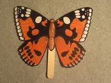 Butterfly Stick Puppet. Fun Craft Art