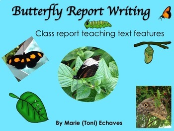 Preview of Butterfly Report Writing