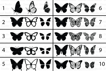 Butterfly Svg Bundle Svg Cut File Butterfly Template Svg Butterfly Clipart