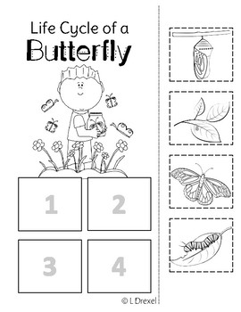 Butterfly Sequencing by The Bright Classroom | Teachers Pay Teachers