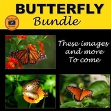 Butterfly Photo Bundle