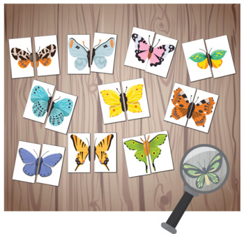 Preview of Butterfly Symmetry Cards, Spring Printable, Preschool Nature Study Unit