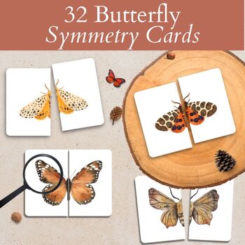 Preview of Butterfly Symmetry Activities, Matching Activity Memory Game PDF for Preschool