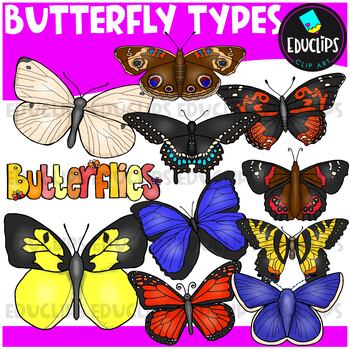 Preview of Butterfly Types Clip Art Set {Educlips Clipart}