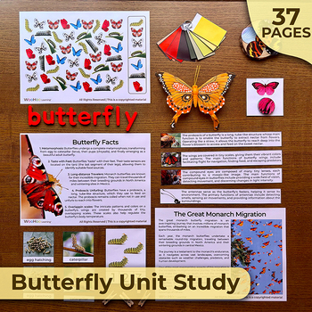 Preview of Butterfly Unit Study, Butterfly Complete Science Unit, All About Butterflies