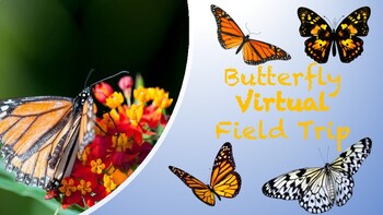 Preview of Butterfly Virtual Field Trip