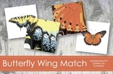 Butterfly Wing Matching Cards
