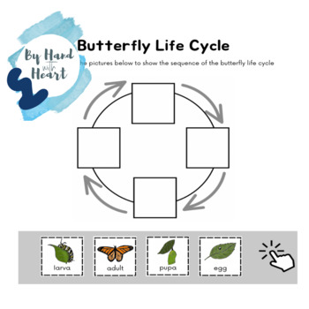 Preview of Butterfly Worksheet- Digital and printable Bundle