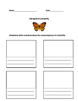 Butterfly Writing by Embrace the Adventure | TPT