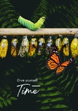 Butterfly and Caterpillar Motivational Poster