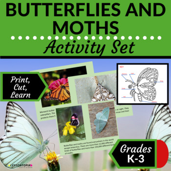 Preview of Butterfly and Moth Activities | Digital Activities