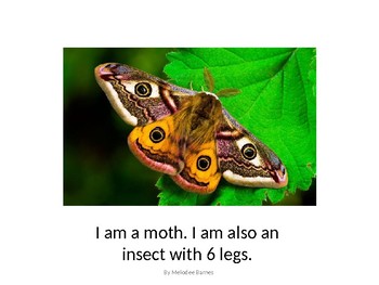 Preview of Butterfly and Moth Book