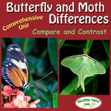 Butterfly and Moth Differences - Compare and Contrast