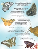 Butterfly and Moth Song Poster