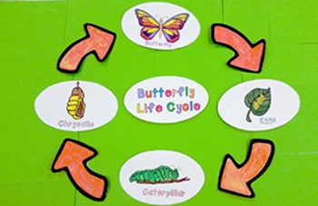 Download Butterfly Life Cycle Craft Activity 3d By Teacher Sarah S Classroom