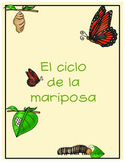 Butterfly life cycle (Spanish)